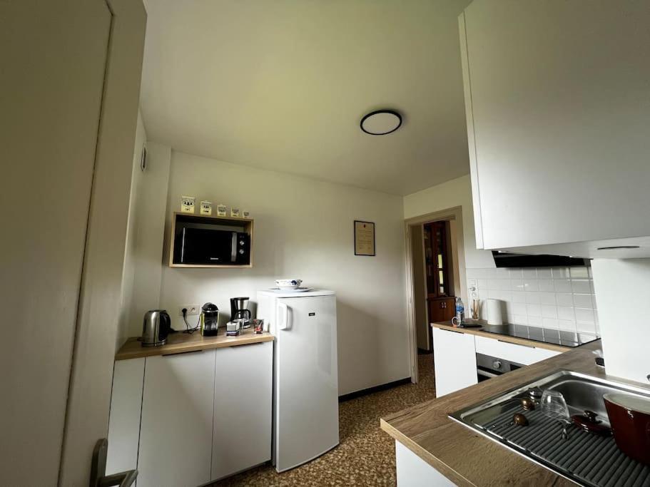 Appartement Dans Chalet - 75 M2 - 4 A 6 Personnes Saint-Gervais-les-Bains Kültér fotó